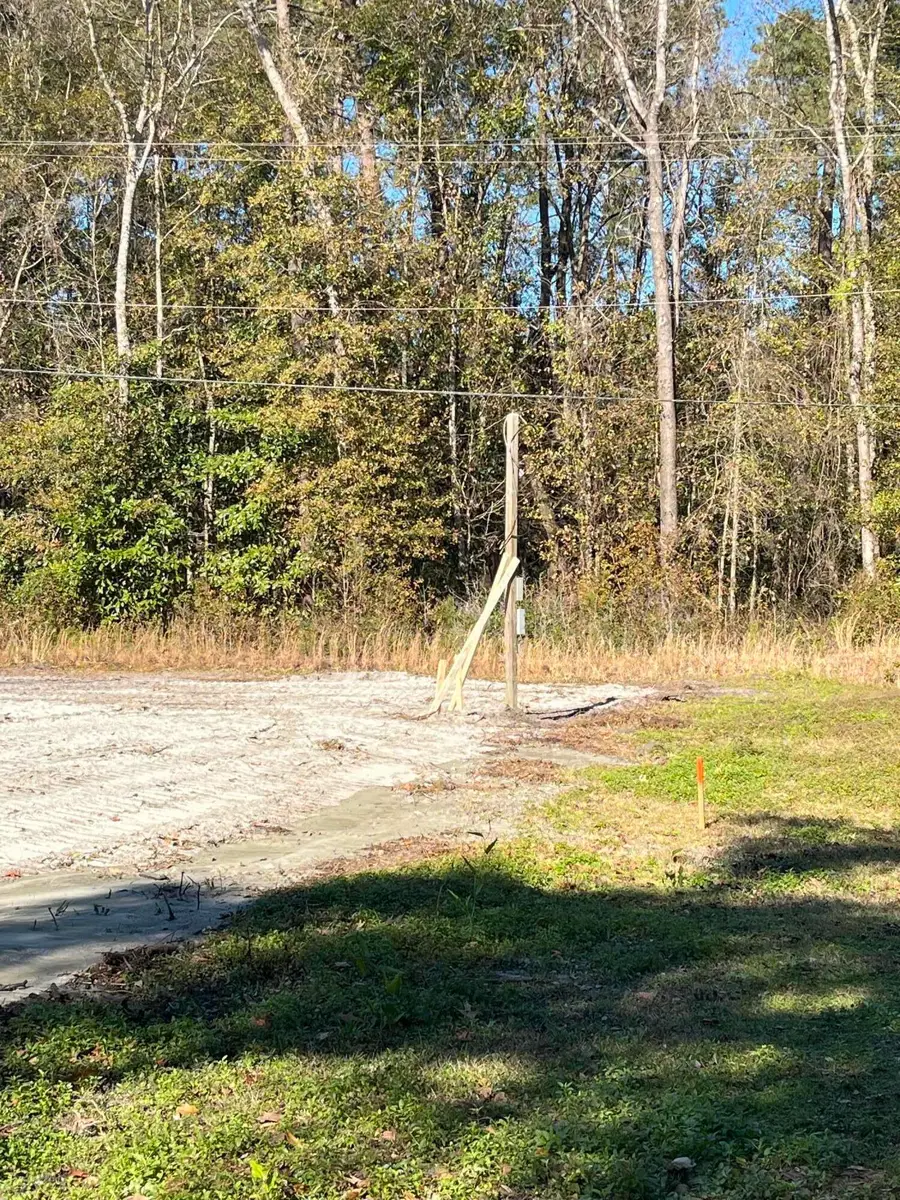 6224 Martin Street, Ravenel, SC 29470 - Image #3