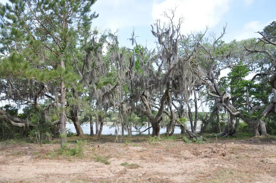 00 Ranch Road, Wadmalaw Island, SC 29487 - Image #3