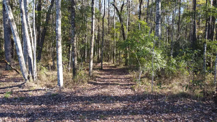 8 Fish Road, Ridgeville, SC 29472 - #3