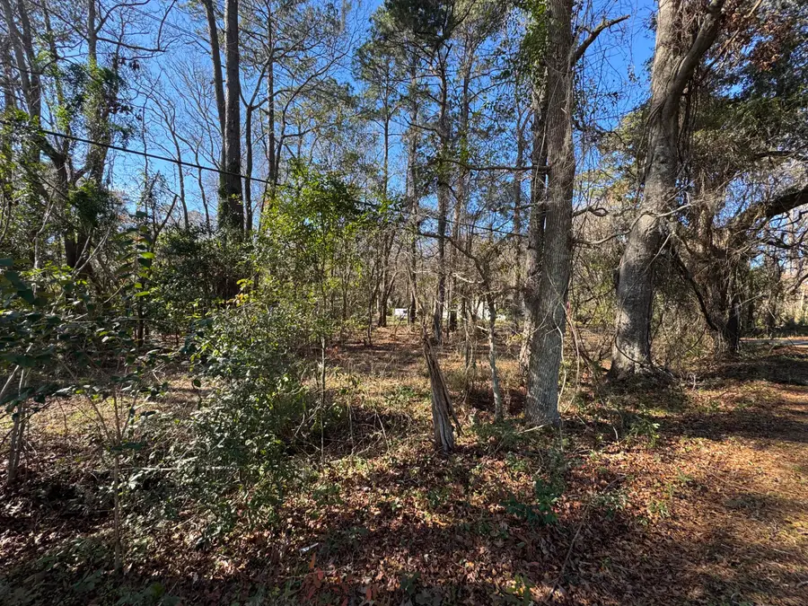 2040 River Road, Johns Island, SC 29455 - Image #3