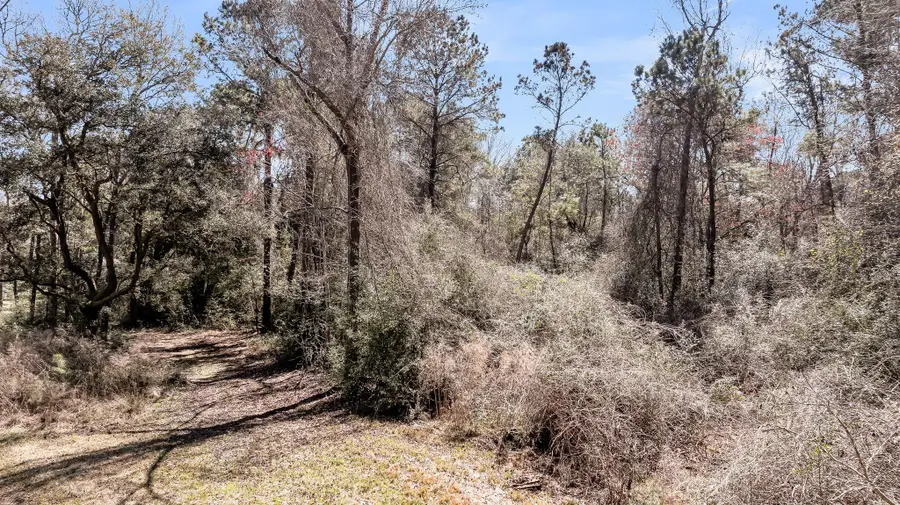7887 Mary Seabrook Road, Edisto Island, SC 29438 - #3