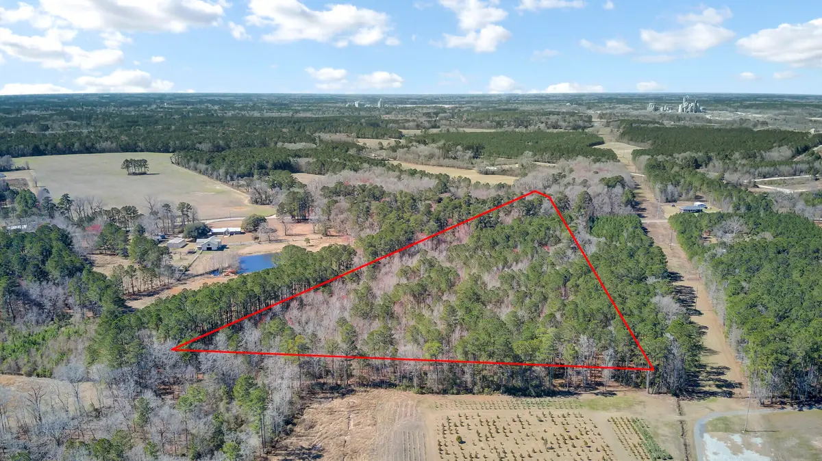 0 Hickory Nut Drive, Harleyville, SC 29448 - #1