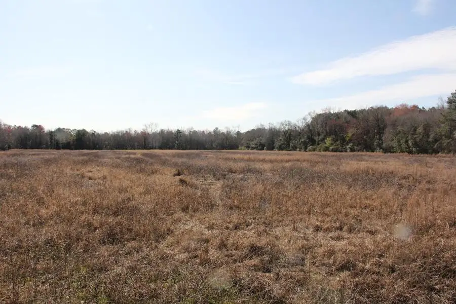 0 Corona Drive, Orangeburg, SC 29115 - Image #2