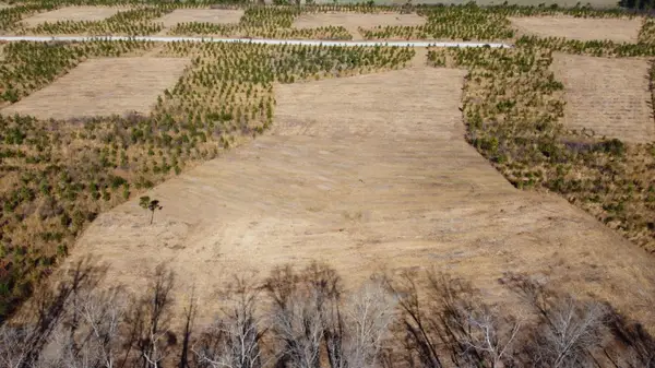 8 Hwy 6, Cross, SC 29436