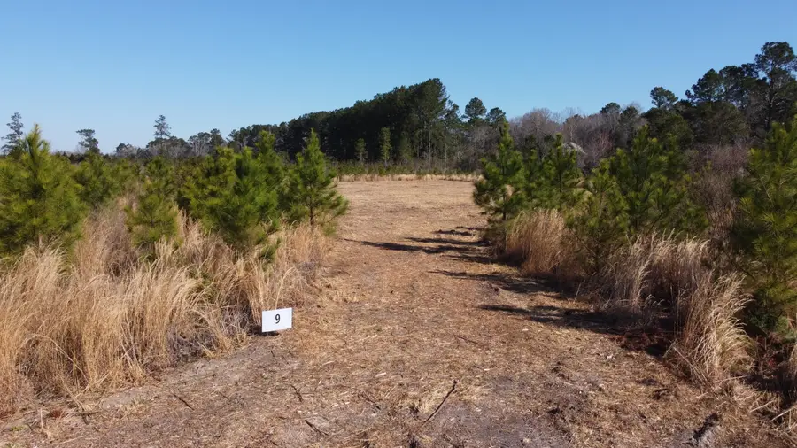 9 Hwy 6, Cross, SC 29436 - #2