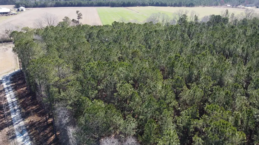 0 Mail Route Road, Bonneau, SC 29431 - #3