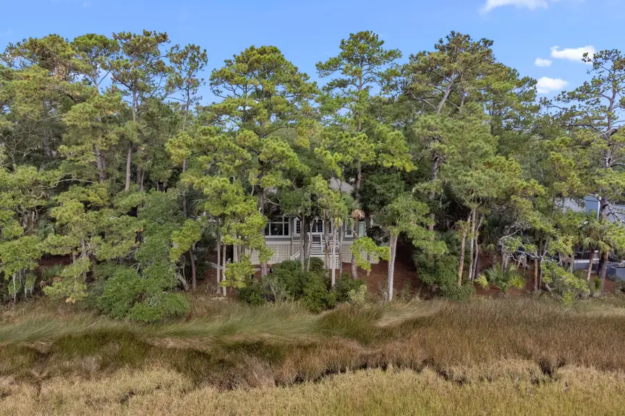 2515 Cat Tail Pond Road, Seabrook Island, SC 29455 - Image #3