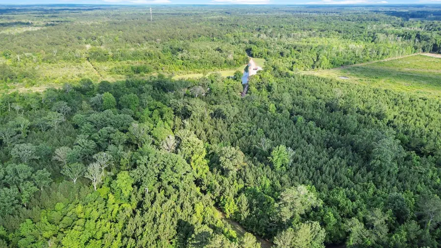 13959 Cottageville Highway, Cottageville, SC 29435 - #2