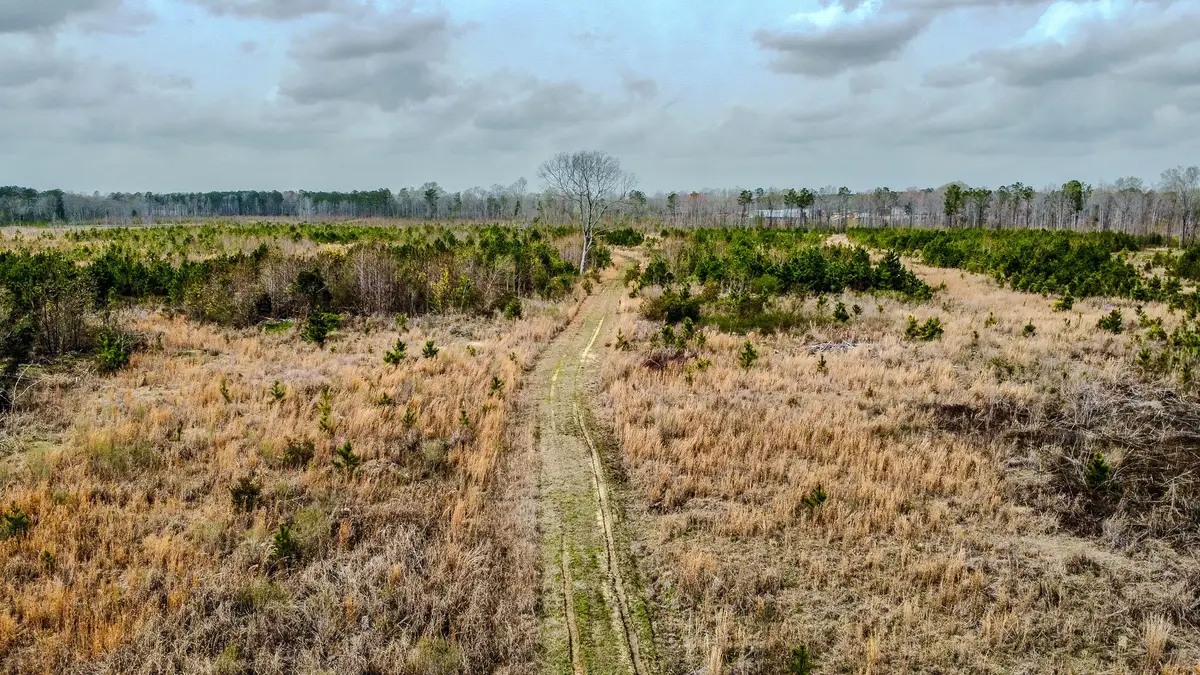 0 S Locust, Denmark, SC 29042 - #1