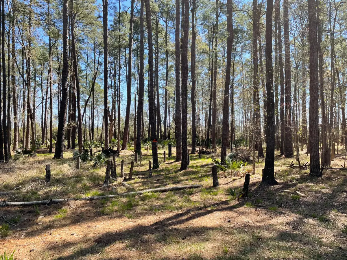 0 Backfield Road, Walterboro, SC 29488 - #1