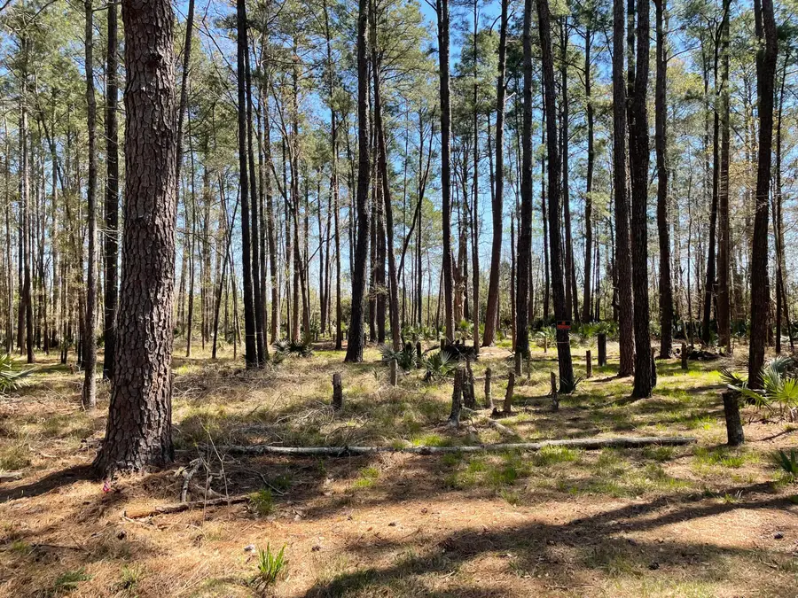 0 Backfield Road, Walterboro, SC 29488 - #2