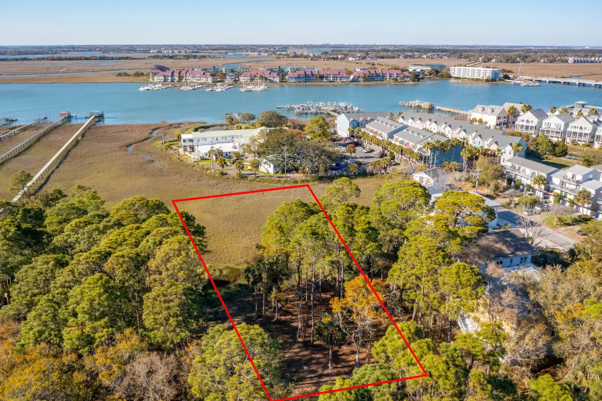 290 Shadow Race Lane, Folly Beach, SC 29439 - #1