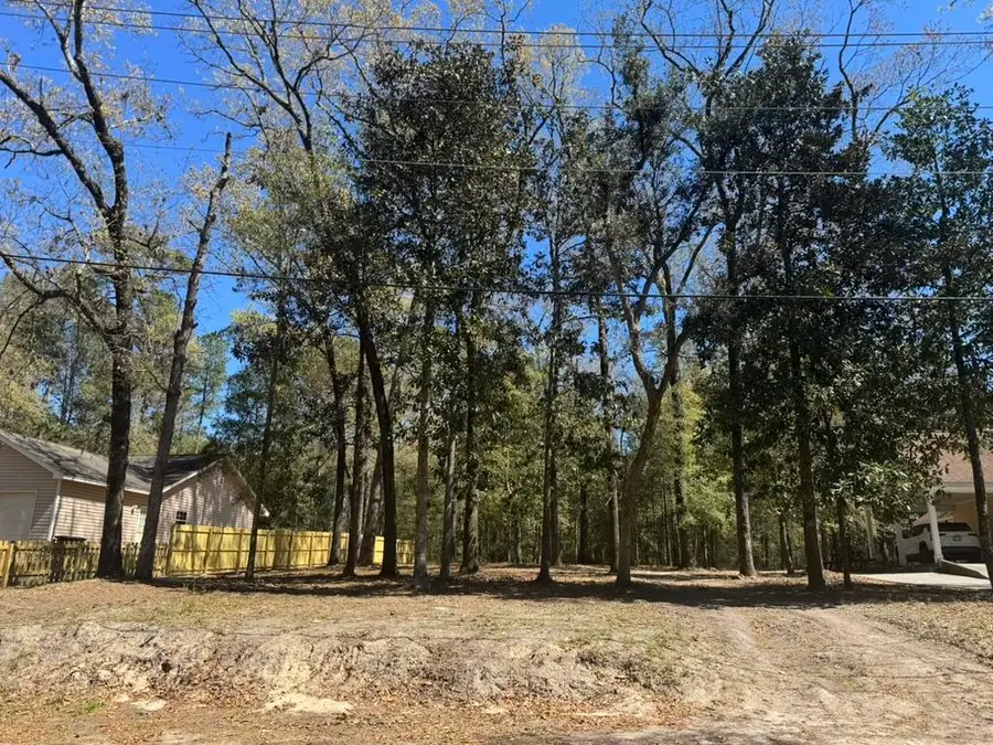 0 Dowling Avenue, Walterboro, SC 29488 - #2