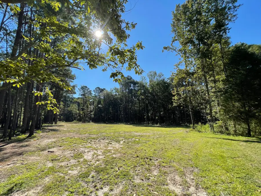 113 Gen Estates Lane, Summerville, SC 29486 - Image #2