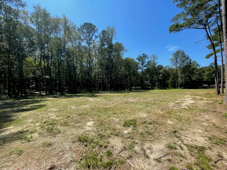 113 Gen Estates Lane, Summerville, SC 29486 - Image #3