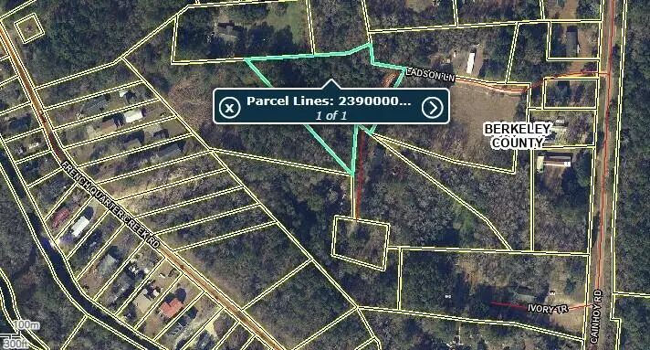 0 Ladson Lane, Huger, SC 29450 - Image #2