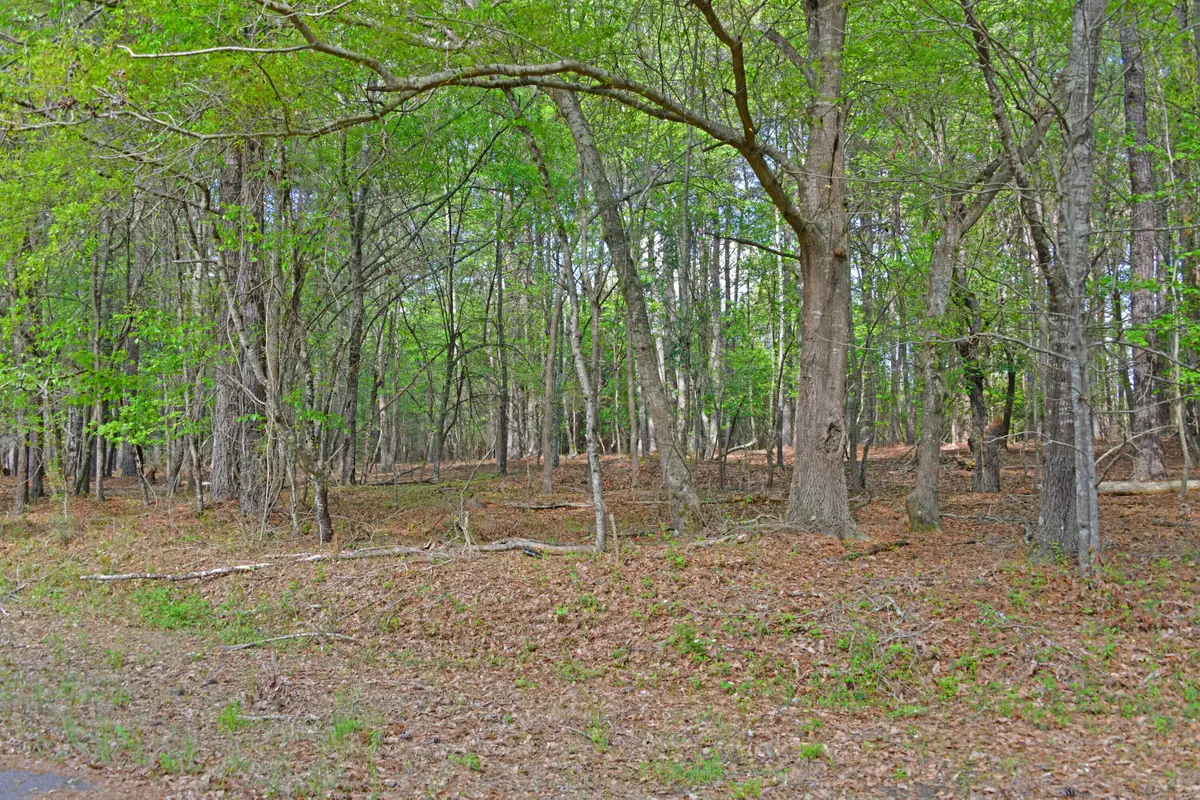 0 Ridgelake(15-a,15-b) Circle, Saint Matthews, SC 29135 - #1