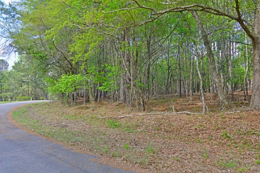 0 Ridgelake(15-a,15-b) Circle, Saint Matthews, SC 29135 - #2