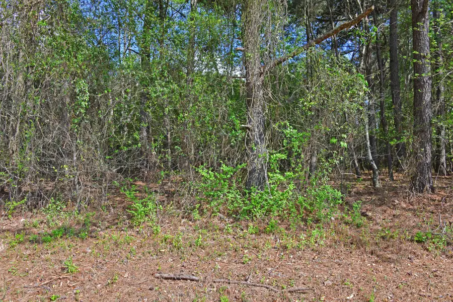 0 Ridgelake(15-a,15-b) Circle, Saint Matthews, SC 29135 - #3