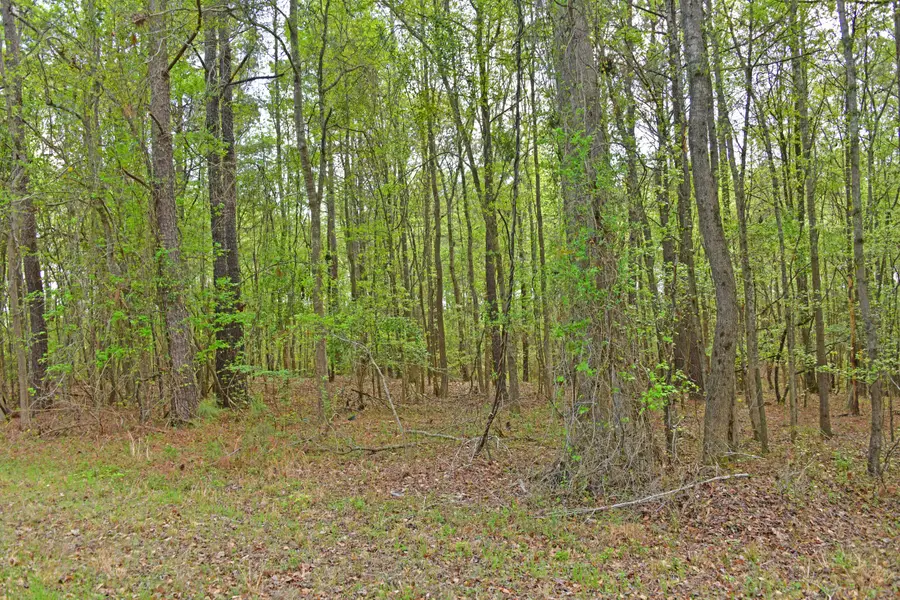 0 Ridgelake(lot 35) Circle, Saint Matthews, SC 29135 - #2