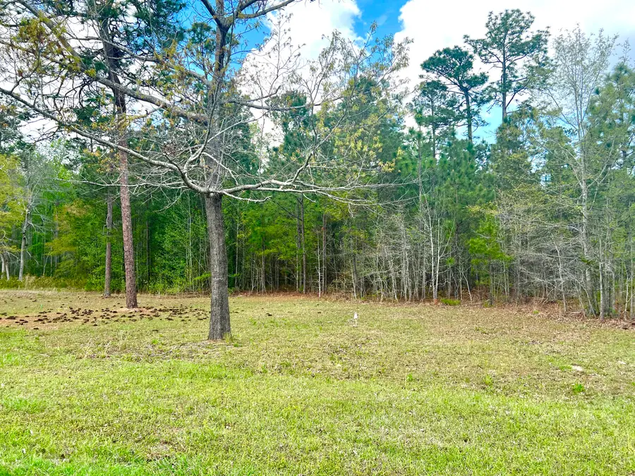 147 Twisted Oak Trail, Elloree, SC 29047 - #3