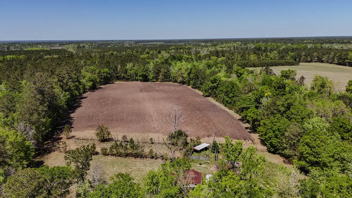 1296 Risher Mountain Road, Walterboro, SC 29488 - #1