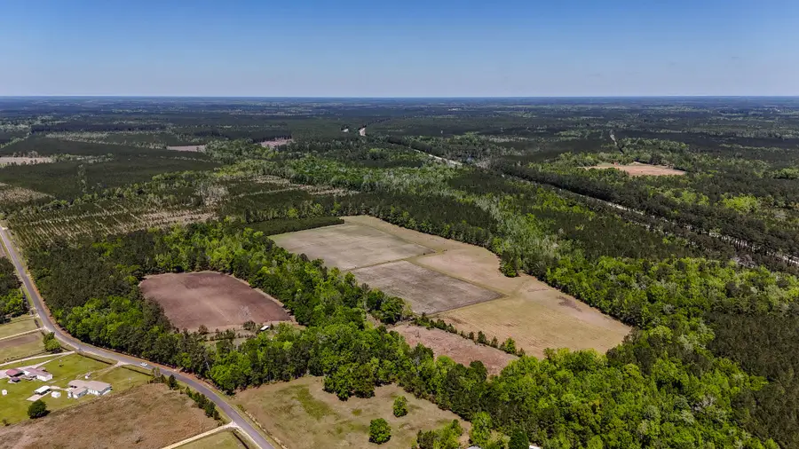 1296 Risher Mountain Road, Walterboro, SC 29488 - #2