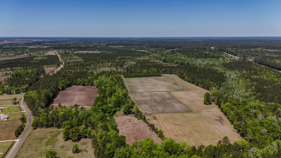 1296 Risher Mountain Road, Walterboro, SC 29488 - #3