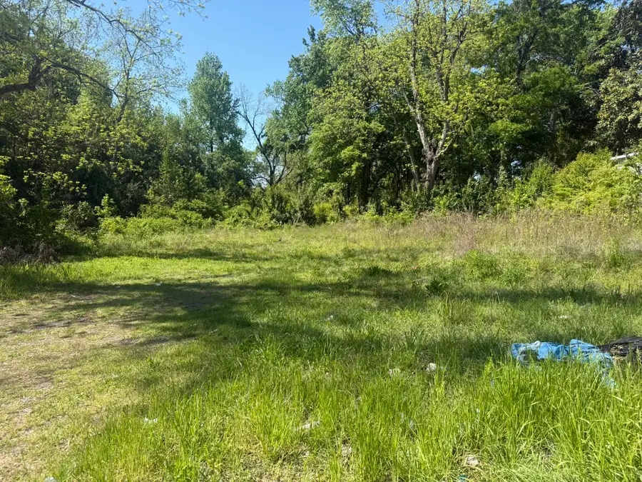 411 Treadwell Street, Orangeburg, SC 29115 - Image #2