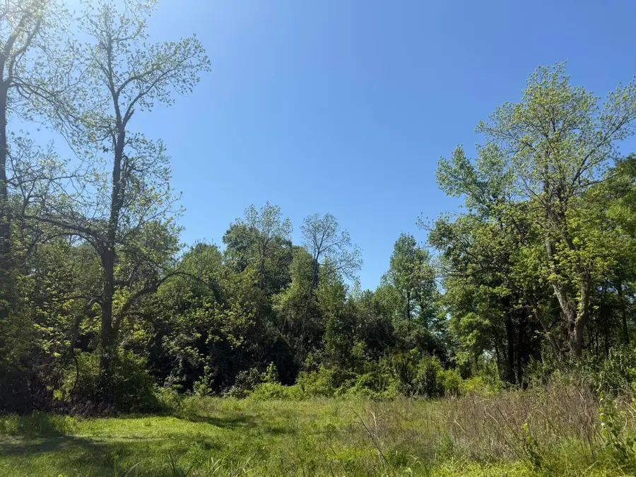 411 Treadwell Street, Orangeburg, SC 29115 - Image #3