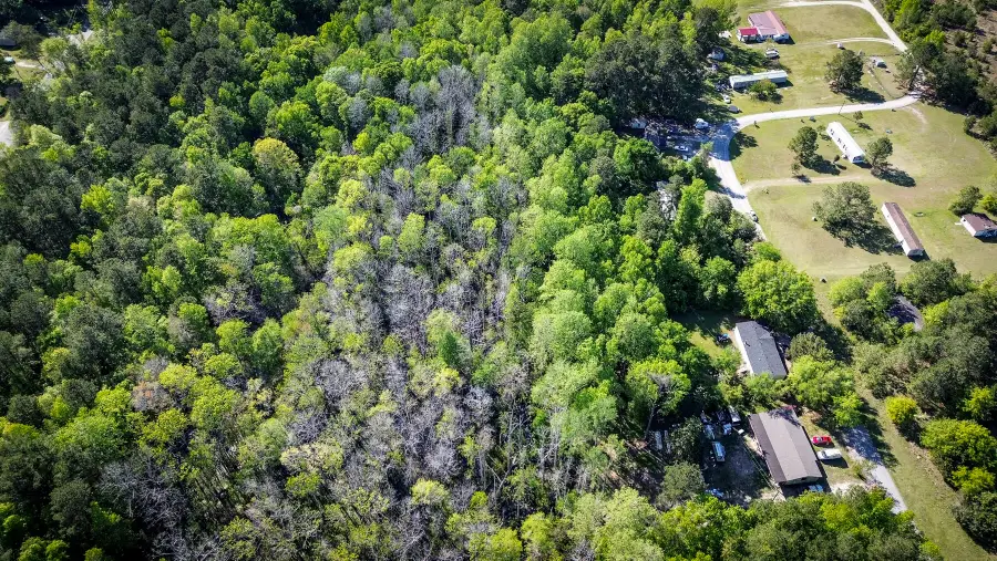 351 Dingle Lane, Saint Stephen, SC 29479 - #2