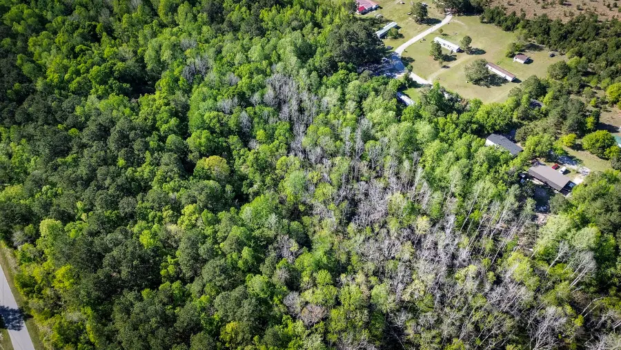 351 Dingle Lane, Saint Stephen, SC 29479 - #3