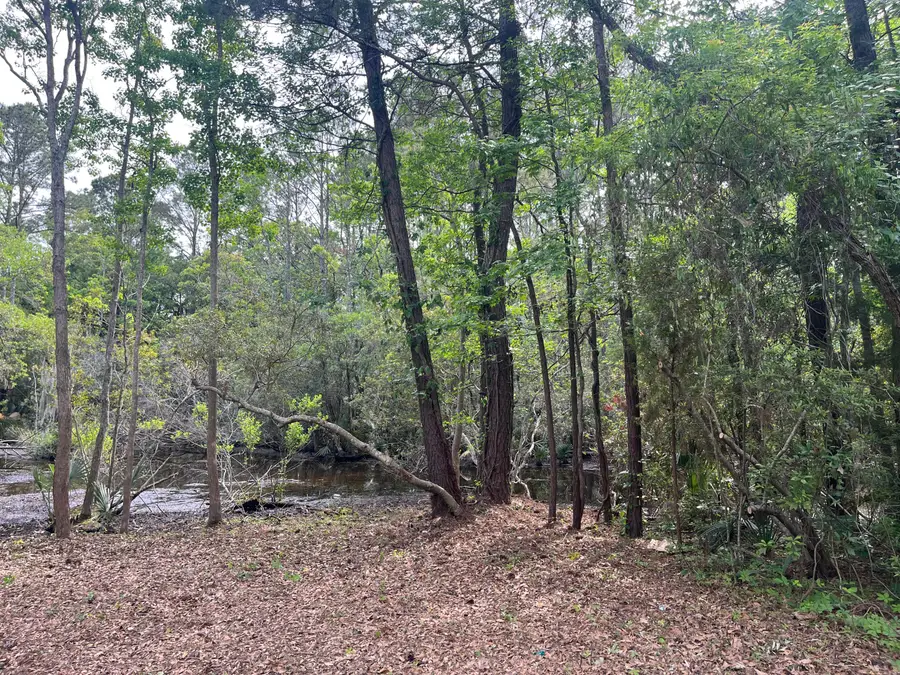 1533 Theresa Drive, Charleston, SC 29412 - Image #3