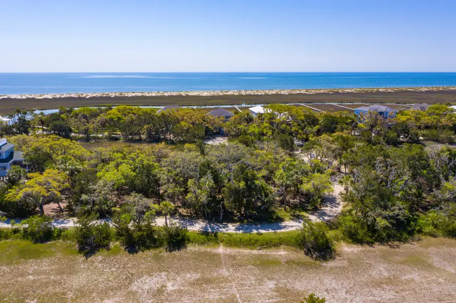 24 Moon Fever Court, Edisto Beach, SC 29438 - #2