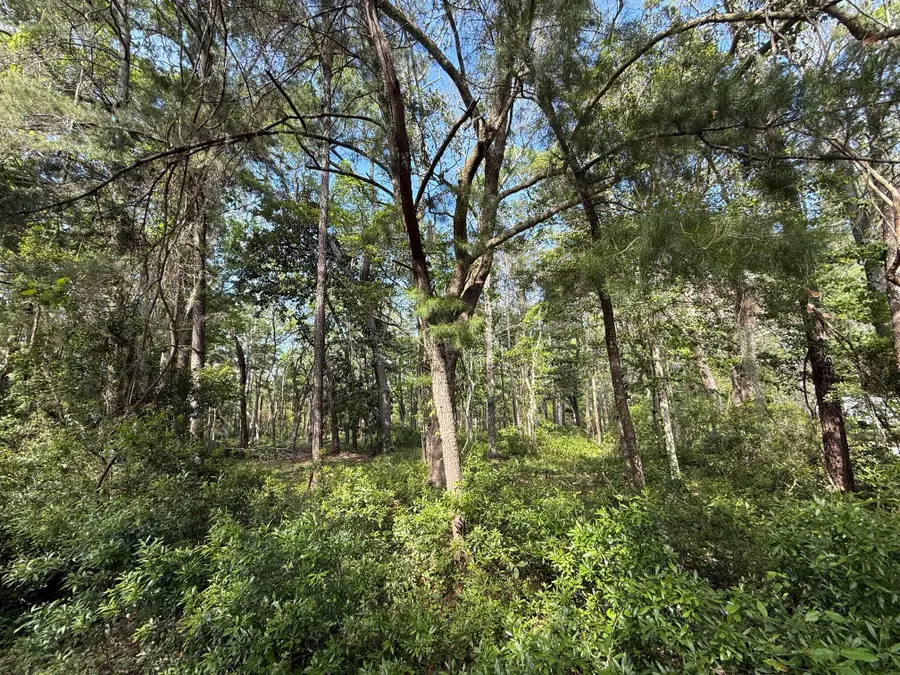 0 Crawford Drive, Edisto Island, SC 29438 - #2