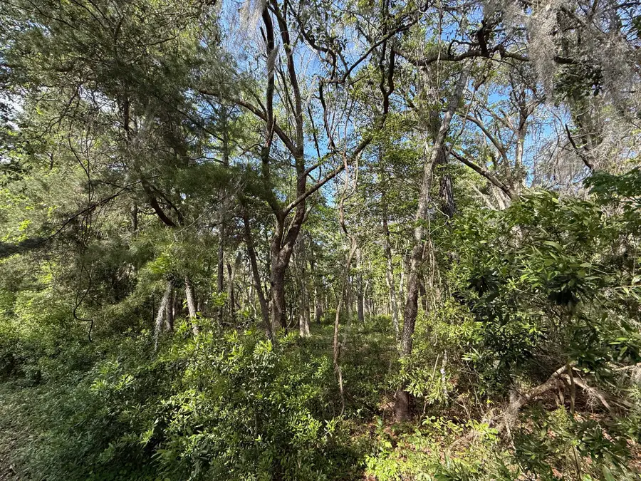 0 Crawford Drive, Edisto Island, SC 29438 - #3