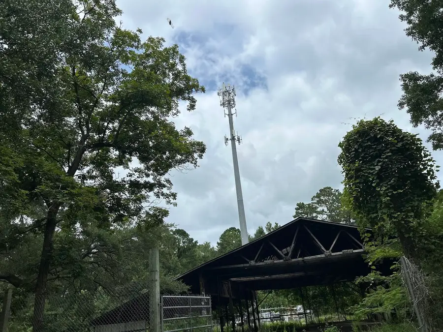 6154 Savannah Highway #1-A, Ravenel, SC 29470 - Image #3