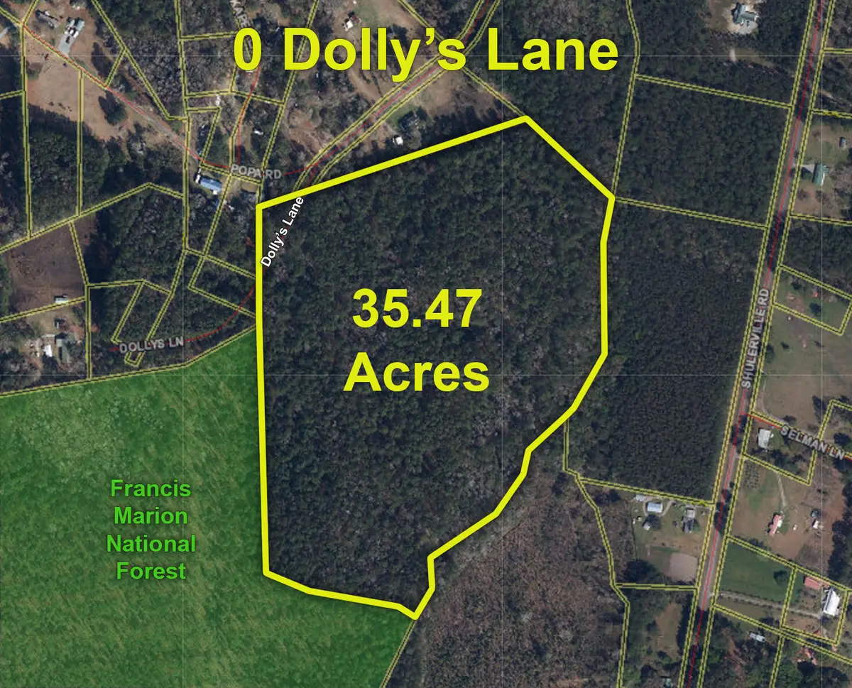 0 Dollys Lane, Shulerville, SC 29453 - Image #1
