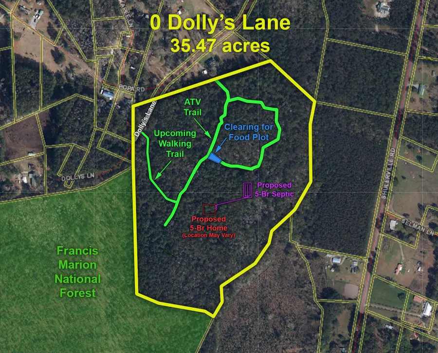 0 Dollys Lane, Shulerville, SC 29453 - Image #2
