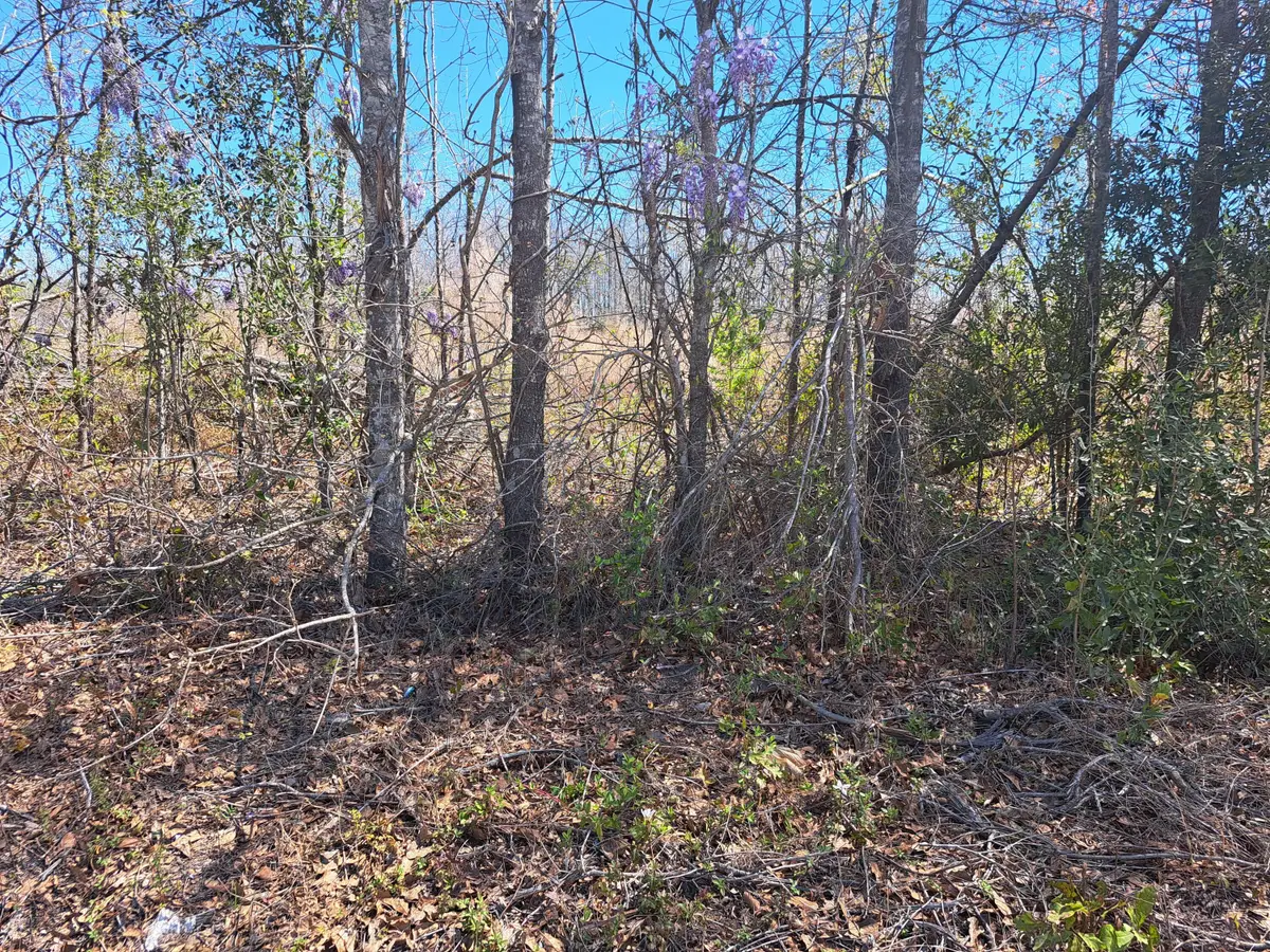 S-38-200 Laval Road, Santee, SC 29142 - #1