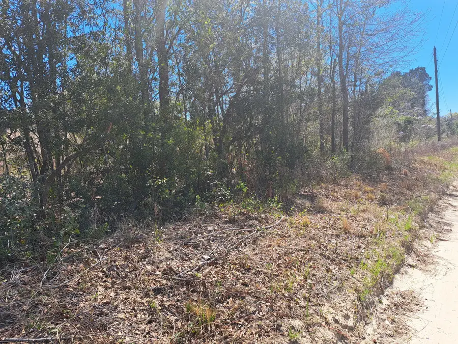 S-38-200 Laval Road, Santee, SC 29142 - #2