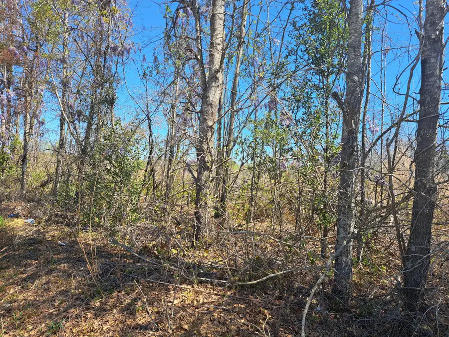 S-38-200 Laval Road, Santee, SC 29142 - #3