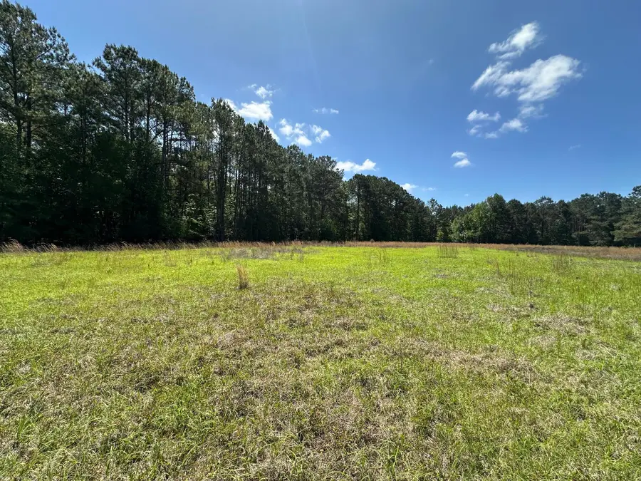 8441 Willtown Road, Hollywood, SC 29449 - Image #2