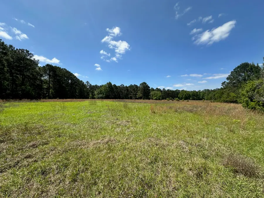 8441 Willtown Road, Hollywood, SC 29449 - Image #3