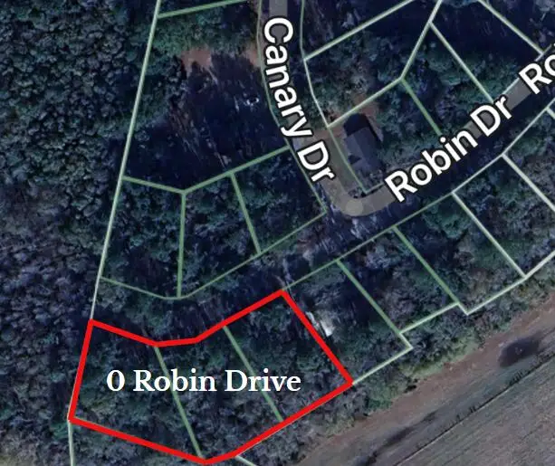 0 Robin Drive, Bamberg, SC 29003 - #2