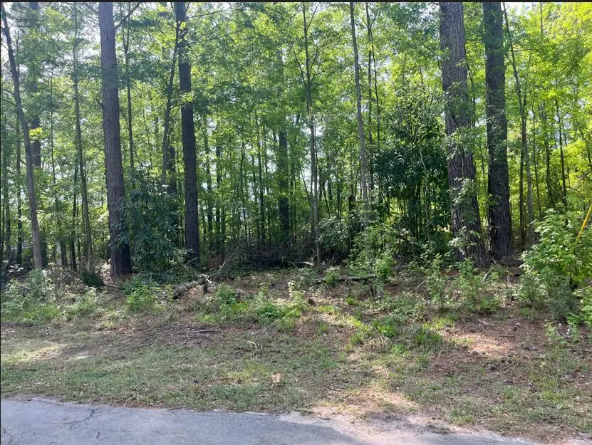 0 Robin Drive, Bamberg, SC 29003 - #3