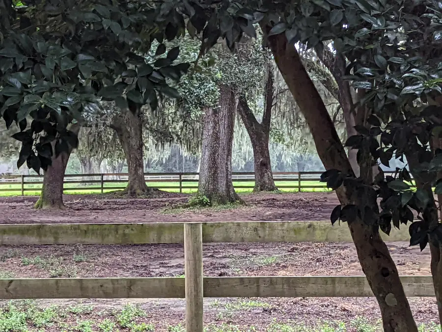 21 Middleton Oaks Road, Charleston, SC 29414 - Image #2