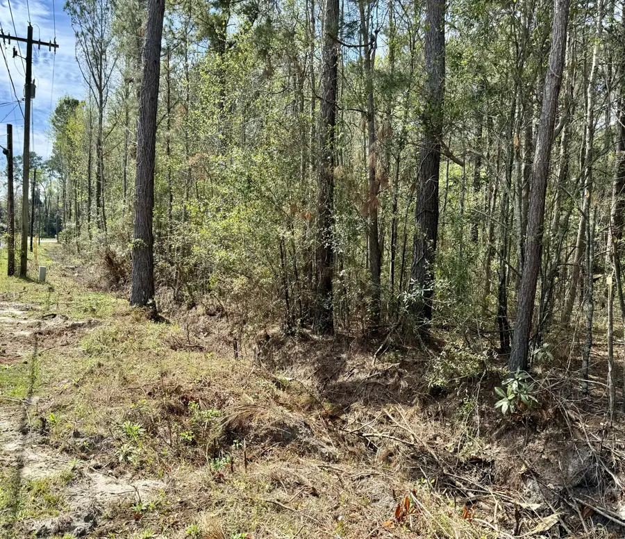 0 Washington Klein Street, Walterboro, SC 29488 - #2