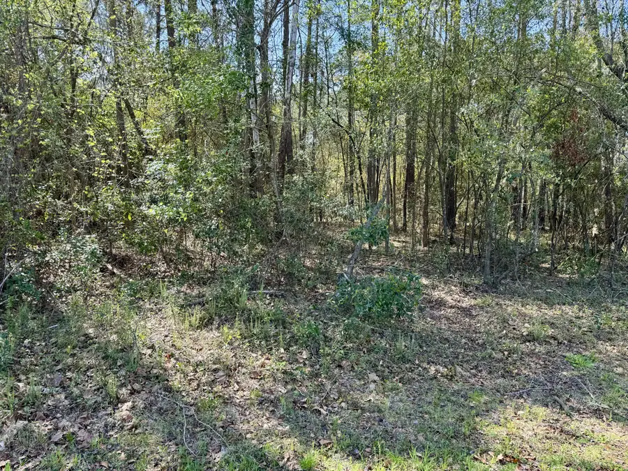 0 Washington Klein Street, Walterboro, SC 29488 - #3