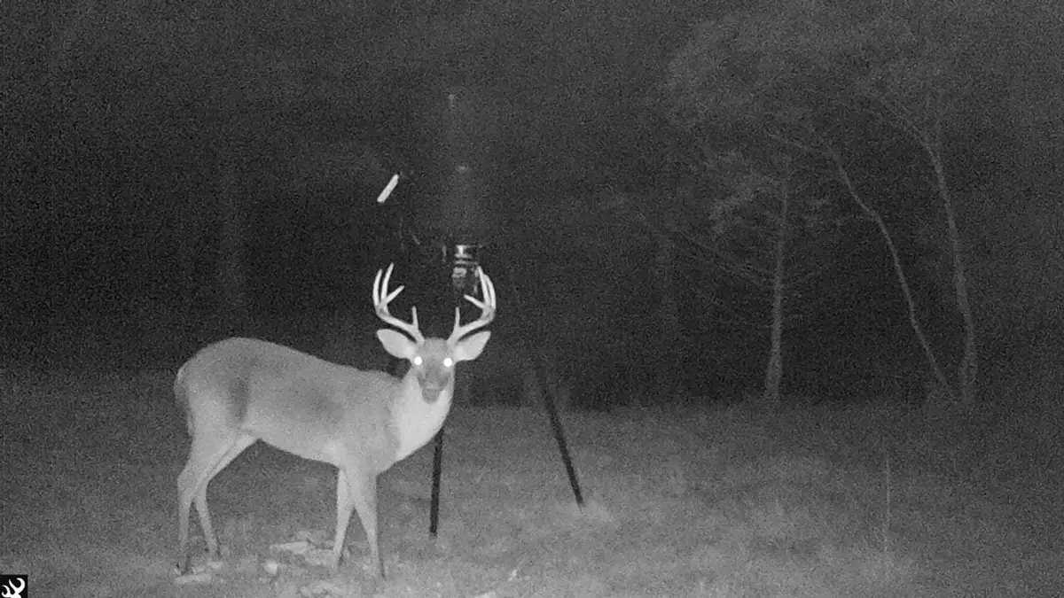 0 Norris Drive, Walterboro, SC 29488 - #1